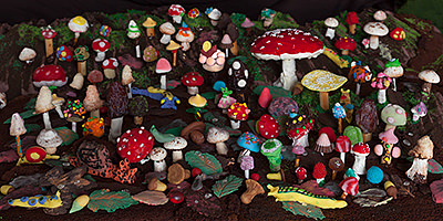 Forest Floor, 2016