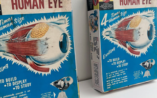 Double Vision, 2026